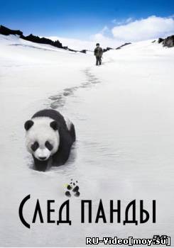 Фильм: След панды