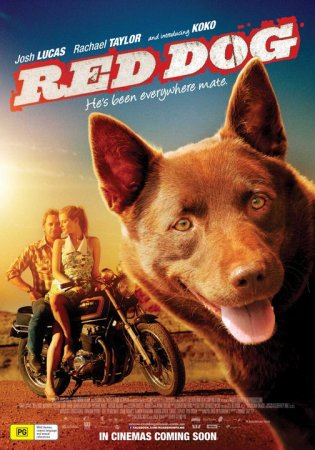 Рыжий пес (2011) DVDRip Смотреть фильм онлайн