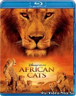 Фильм - Африканские кошки: Королевство смелости / African Cats (2011)
