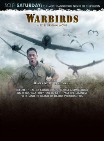 Фильм: Птицы войны / Warbirds (2008)